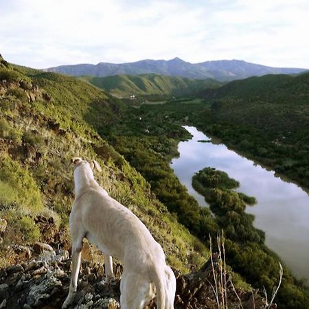 River View Cottages Calitzdorp Bagian luar foto