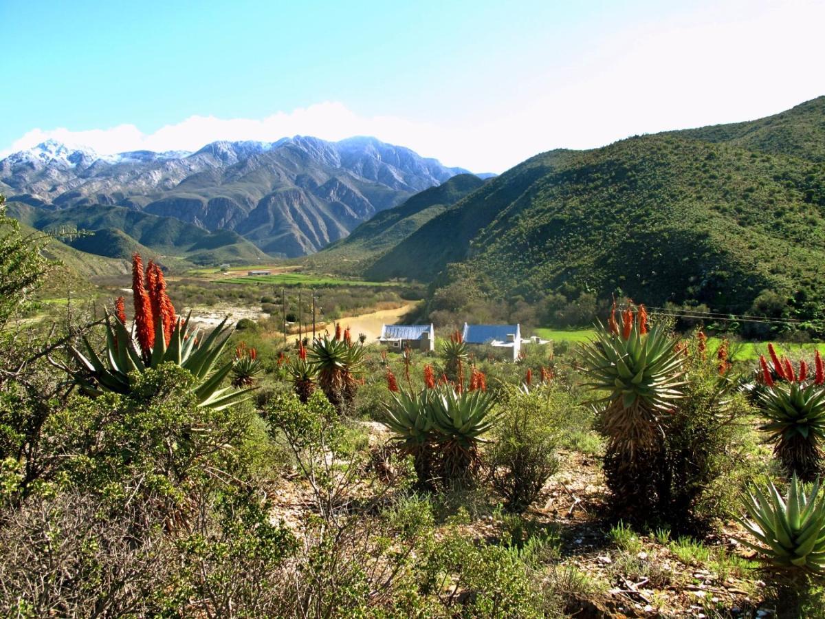 River View Cottages Calitzdorp Bagian luar foto