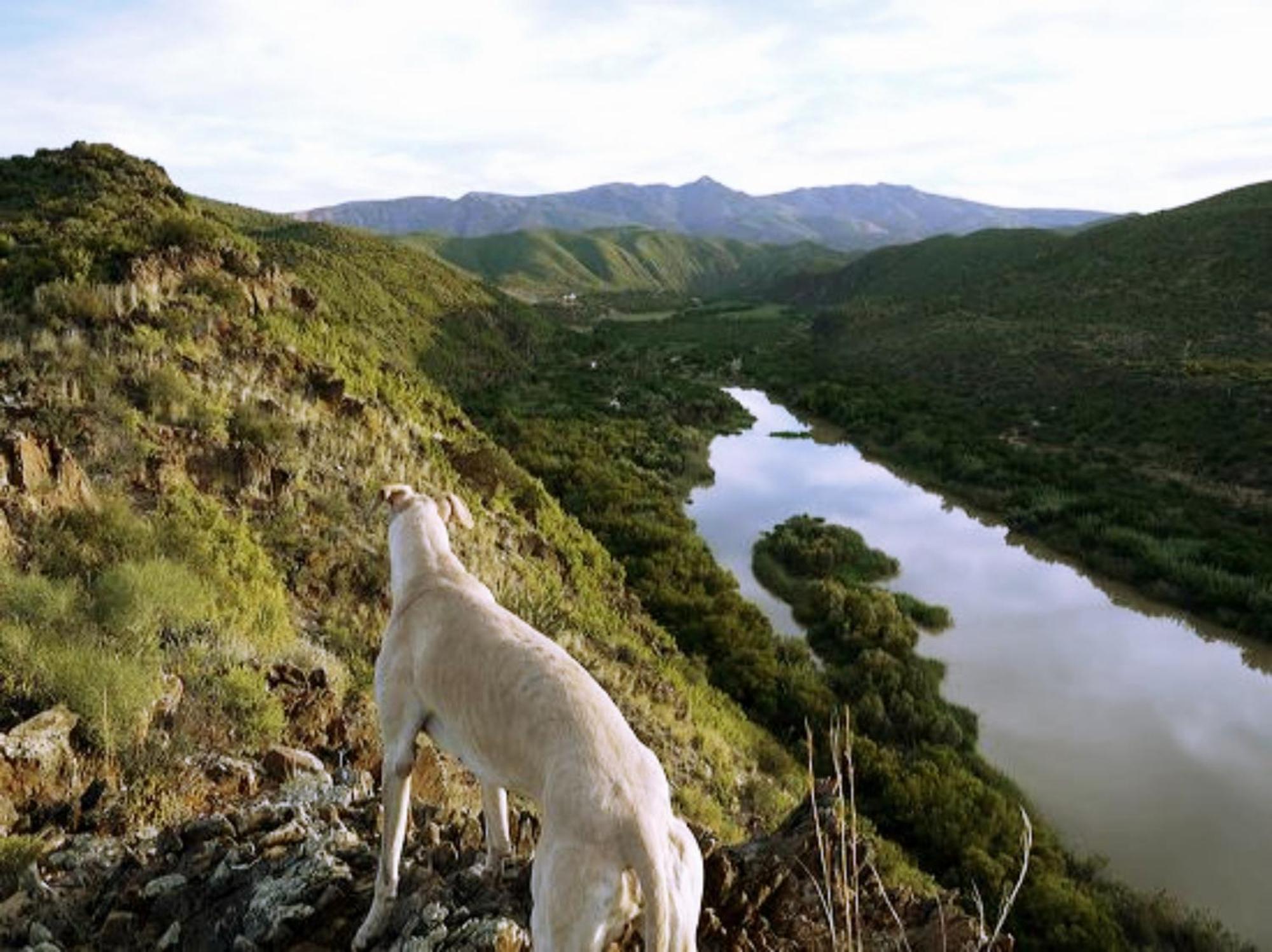 River View Cottages Calitzdorp Bagian luar foto